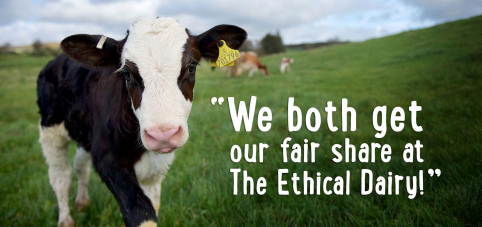 We both get our fair share at the Ethical Dairy