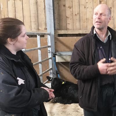 researchers studying the ethical dairy system of farming